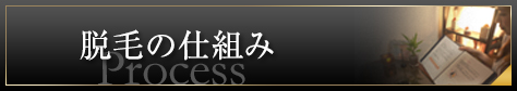 脱毛の仕組み